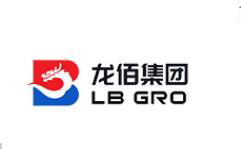 龙佰集团logo